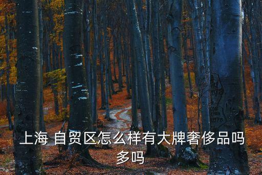  上海 自貿區(qū)怎么樣有大牌奢侈品嗎多嗎