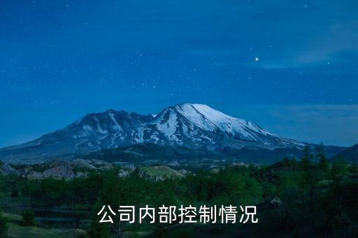 公司內部控制情況