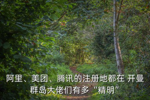 阿里、美團(tuán)、騰訊的注冊(cè)地都在 開(kāi)曼群島大佬們有多“精明”