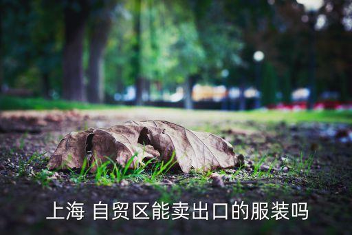  上海 自貿區(qū)能賣出口的服裝嗎