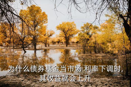 為什么債券基金當(dāng)市場 利率下調(diào)時(shí),其收益就會(huì)上升