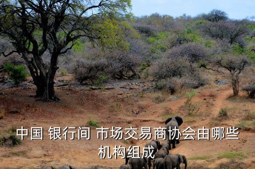中國(guó) 銀行間 市場(chǎng)交易商協(xié)會(huì)由哪些機(jī)構(gòu)組成