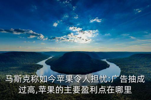 蘋(píng)果公司利潤(rùn)組成