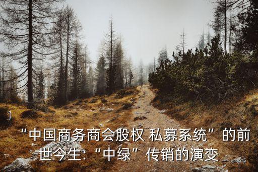 “中國商務商會股權 私募系統(tǒng)”的前世今生:“中綠”傳銷的演變