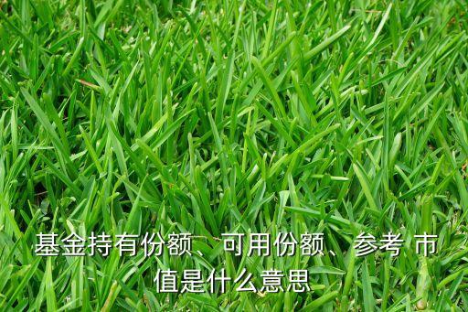 基金持有份額、可用份額、參考 市值是什么意思