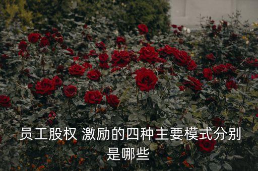  員工股權 激勵的四種主要模式分別是哪些