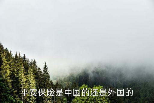 保險公司那家是國外的,國外保險公司會破產倒閉嗎