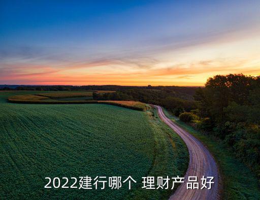 2022建行哪個 理財產品好