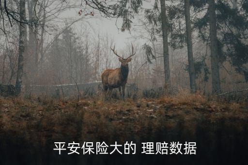  平安保險大的 理賠數據
