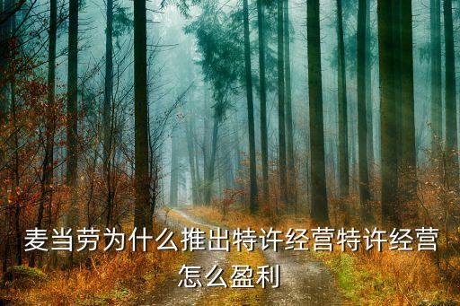  麥當勞為什么推出特許經營特許經營怎么盈利
