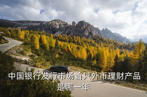 中國銀行發(fā)行市場首只外幣理財產品是哪一年