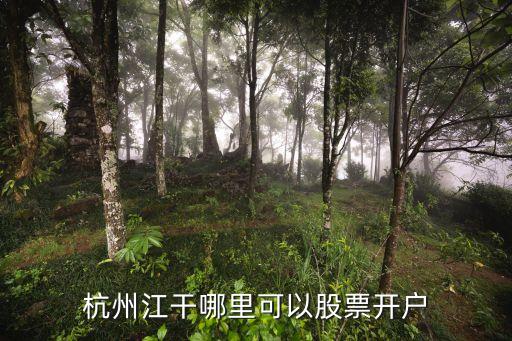錢江理財(cái)投資,錢江投資集團(tuán)董事長