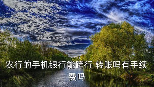農業(yè)銀行同行異地轉賬