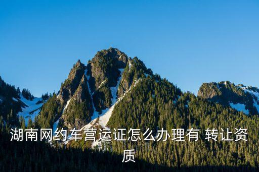 開(kāi)元汽車(chē)運(yùn)輸公司轉(zhuǎn)讓,汽車(chē)運(yùn)輸公司轉(zhuǎn)讓協(xié)議完整版