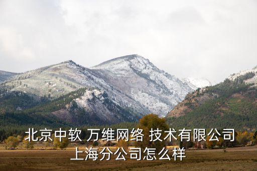  北京中軟 萬維網絡 技術有限公司上海分公司怎么樣