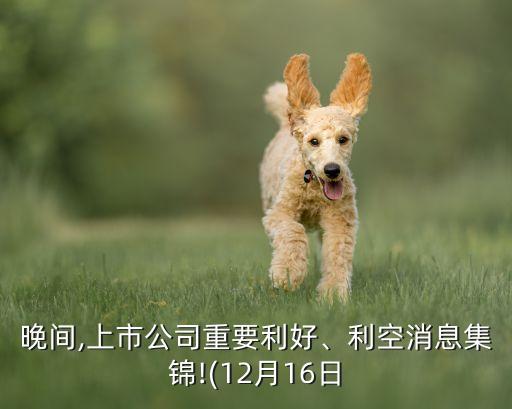 晚間,上市公司重要利好、利空消息集錦!(12月16日