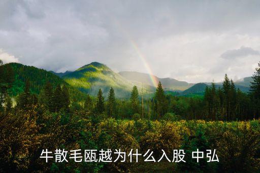 中弘地產(chǎn)營(yíng)銷(xiāo)公司,地產(chǎn)營(yíng)銷(xiāo)代理公司