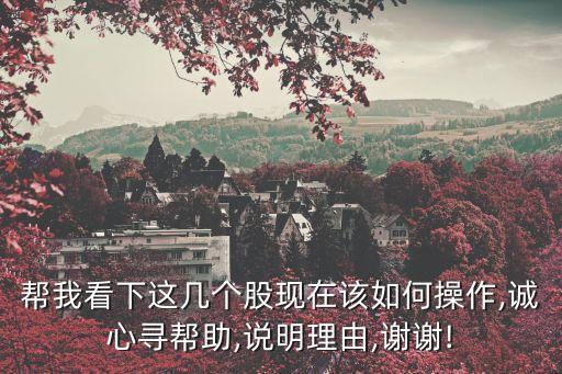 幫我看下這幾個(gè)股現(xiàn)在該如何操作,誠(chéng)心尋幫助,說明理由,謝謝!