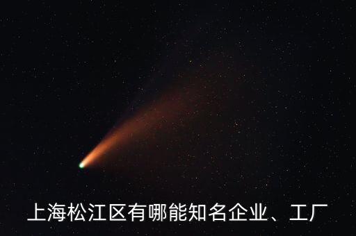 上海松江區(qū)有哪能知名企業(yè)、工廠