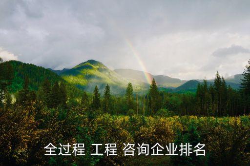 全過(guò)程 工程 咨詢(xún)企業(yè)排名