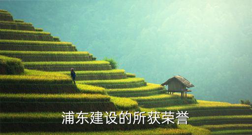 浦東建設的所獲榮譽