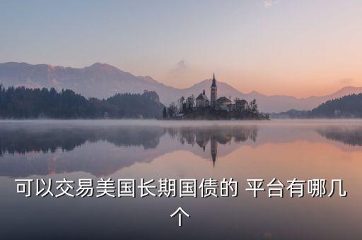 可以交易美國長期國債的 平臺(tái)有哪幾個(gè)