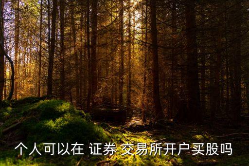個(gè)人可以在 證券 交易所開(kāi)戶買股嗎