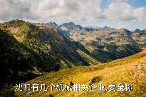  沈陽有幾個機(jī)械相關(guān)企業(yè),要全稱