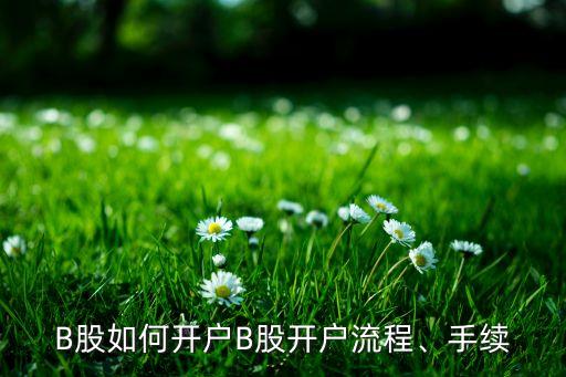 B股如何開戶B股開戶流程、手續(xù)