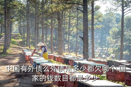 中國有外債么外債是多少都欠哪個 國家的錢數目都是多少