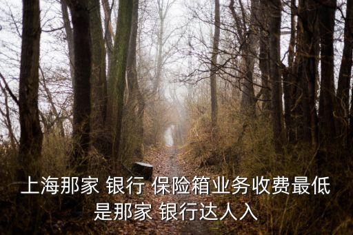 上海那家 銀行 保險箱業(yè)務(wù)收費最低是那家 銀行達人入