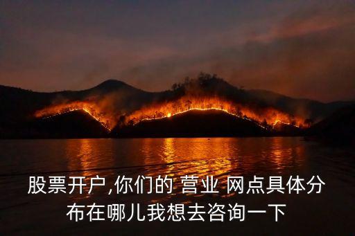 股票開(kāi)戶(hù),你們的 營(yíng)業(yè) 網(wǎng)點(diǎn)具體分布在哪兒我想去咨詢(xún)一下