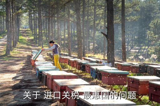 關(guān)于 進(jìn)口關(guān)稅 最惠國(guó)的問(wèn)題