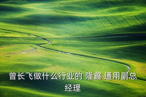 曾長飛做什么行業(yè)的 隆鑫 通用副總經理