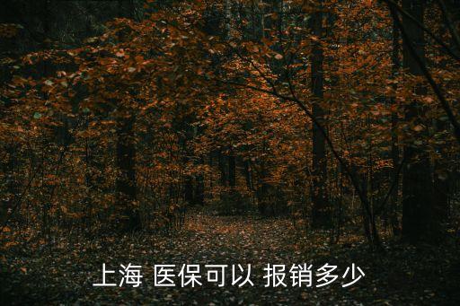 上海 醫(yī)?？梢?報(bào)銷多少