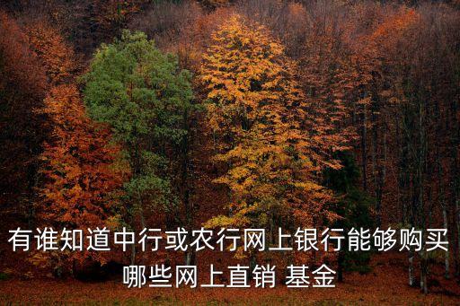 有誰(shuí)知道中行或農(nóng)行網(wǎng)上銀行能夠購(gòu)買(mǎi)哪些網(wǎng)上直銷 基金