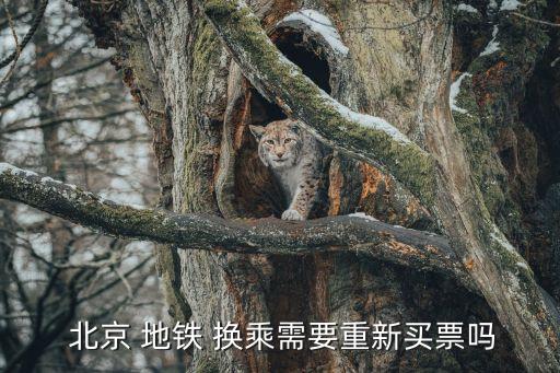  北京 地鐵 換乘需要重新買(mǎi)票嗎