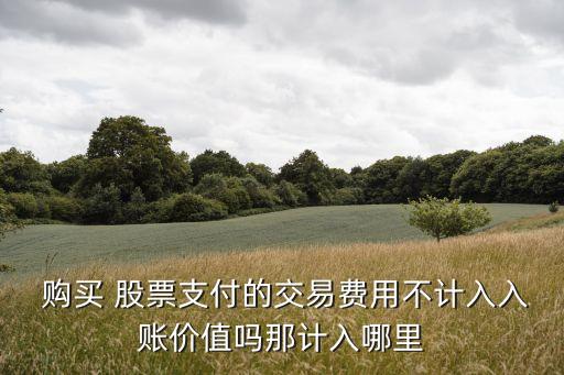  購買 股票支付的交易費(fèi)用不計(jì)入入賬價值嗎那計(jì)入哪里