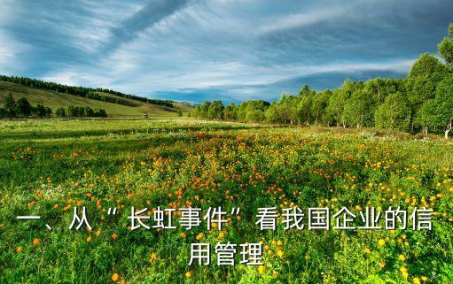 一、從“ 長虹事件”看我國企業(yè)的信用管理