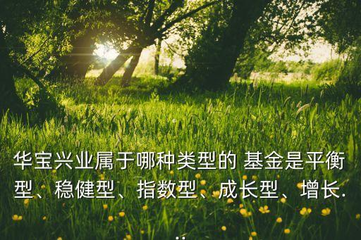 華寶興業(yè)屬于哪種類型的 基金是平衡型、穩(wěn)健型、指數(shù)型、成長(zhǎng)型、增長(zhǎng)...