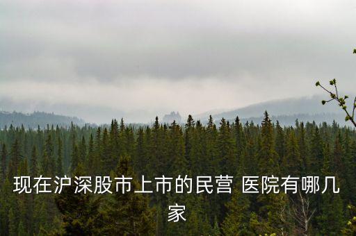 現在滬深股市上市的民營 醫(yī)院有哪幾家
