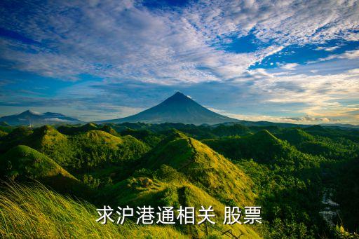 求滬港通相關 股票