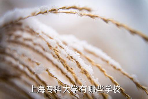  上海?？拼髮W(xué)有哪些學(xué)校