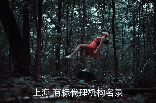 上海 商標代理機構(gòu)名錄