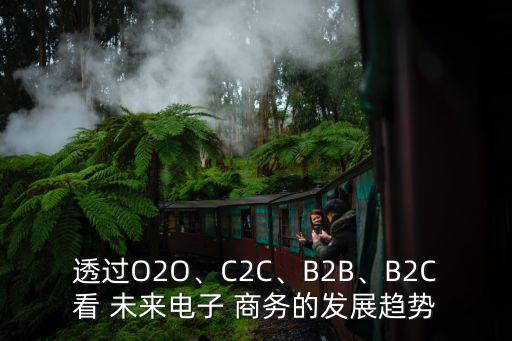 透過O2O、C2C、B2B、B2C看 未來電子 商務(wù)的發(fā)展趨勢(shì)