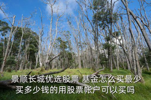  景順長(zhǎng)城優(yōu)選股票 基金怎么買(mǎi)最少買(mǎi)多少錢(qián)的用股票帳戶可以買(mǎi)嗎