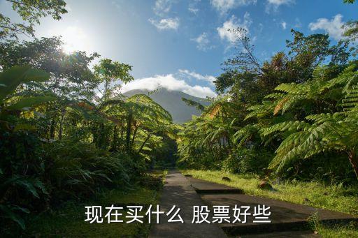 現(xiàn)在買(mǎi)什么 股票好些