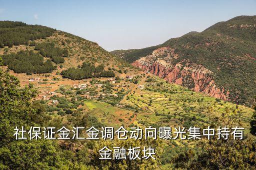 全國社?；?01組合,社?；?01組合最新持股