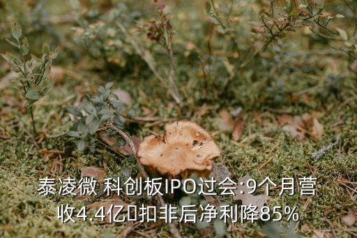 上?？苿?chuàng)集團朱民,上海藍(lán)灣科創(chuàng)資本集團