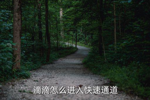 滴滴巴士北京線路,北京首都國際機(jī)場(chǎng)巴士線路